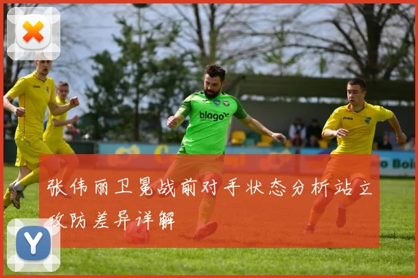 张伟丽卫冕战前对手状态分析站立攻防差异详解